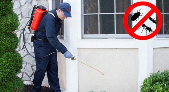 Aksaray Kene İlaçlama böcek ilaçlama ve haşere kontrolü — ilaclama-tr.com